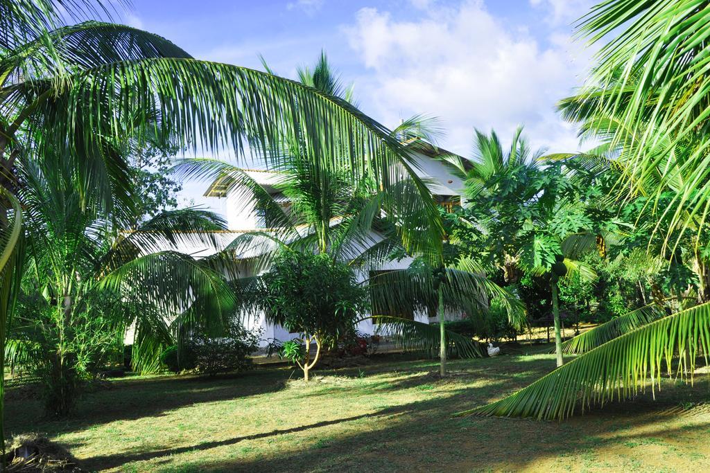 Hotel Coconut Garden House Udawalawe Exterior foto